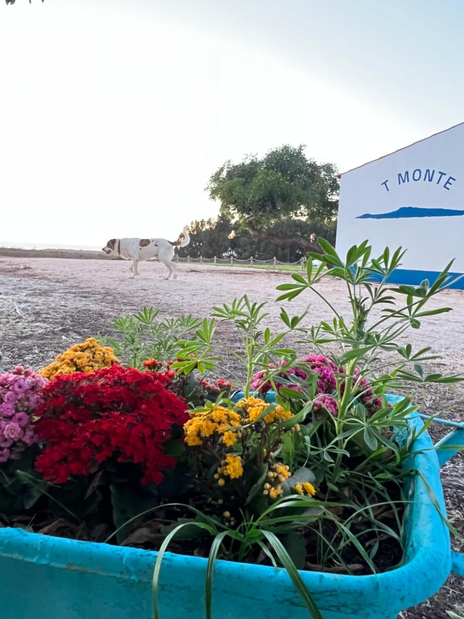 T Monte Porto Covo Exterior foto